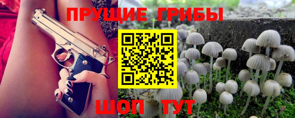 Кохма  Псилоцибиновые грибы Cubensis  магазин    Вход с VPN 