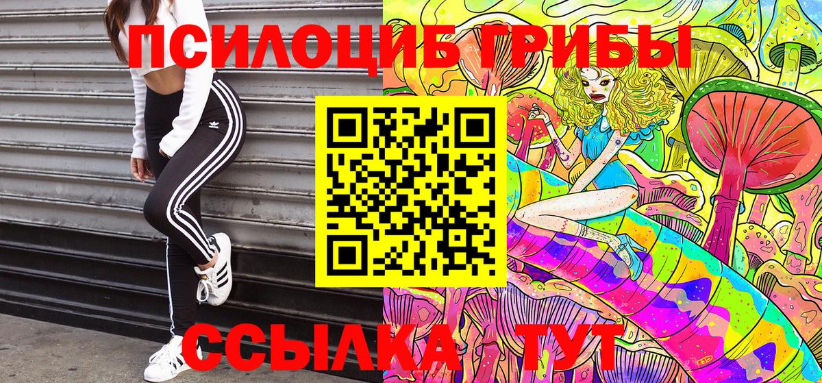 Псилоцибиновые грибы ЛСД Кохма